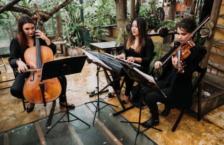 Violino vegano primo