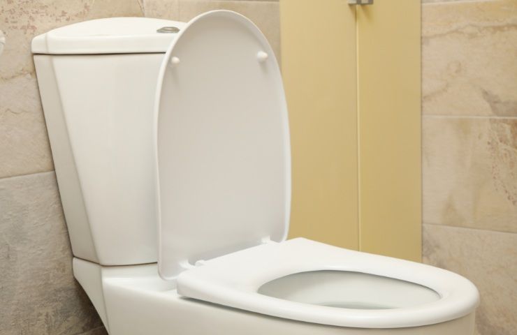 wc intasato