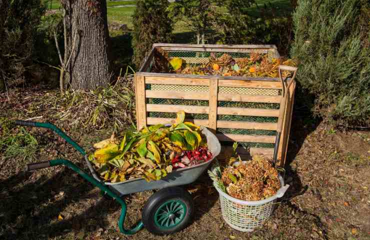 come fare compost