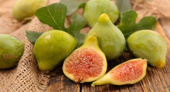 Fichi: non sono vegani, spiegato il motivo