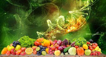 Frutta e verdura: i cambiamenti negli anni a causa dell’uomo