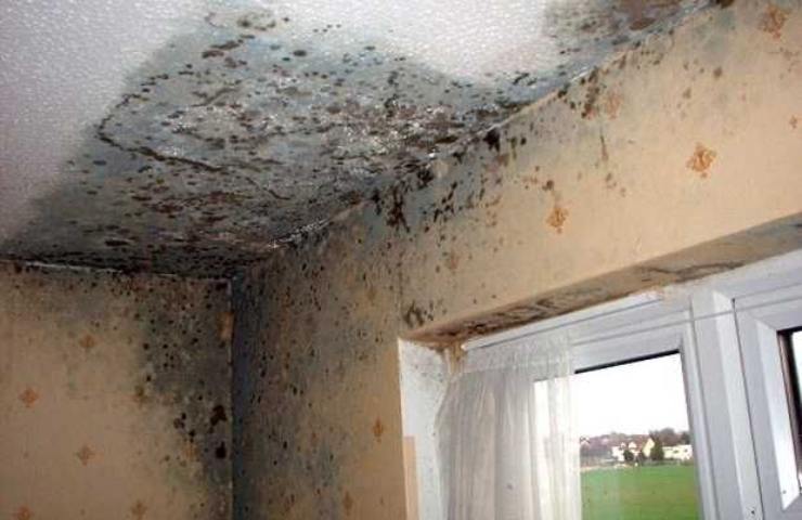 Muffa soffitto rimedi