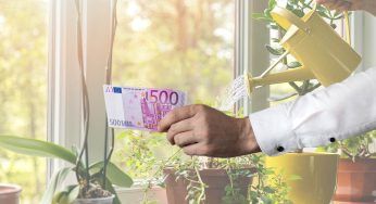 Non farlo mai in questo orario: se innaffi predi 500 euro di multa