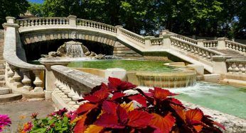 Crea un laghetto in vasca nel tuo giardino: sarà magnifico