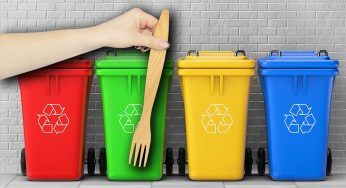 Devi buttare del legno? Non commettere quest’errore costa caro