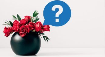 Lo stanno facendo tutti: ne basta un cubetto nelle rose, geniale!