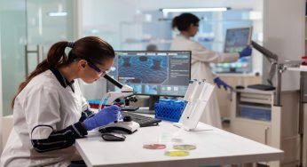Può durare fino a 400 anni: la fortunata scoperta di una studentessa
