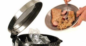 Addio spreco cibo: il dispositivo che cambierà tutto | Più tempo in frigo