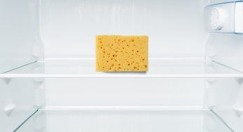 Prova a mettere una spugna nel frigorifero: non crederai al risultato