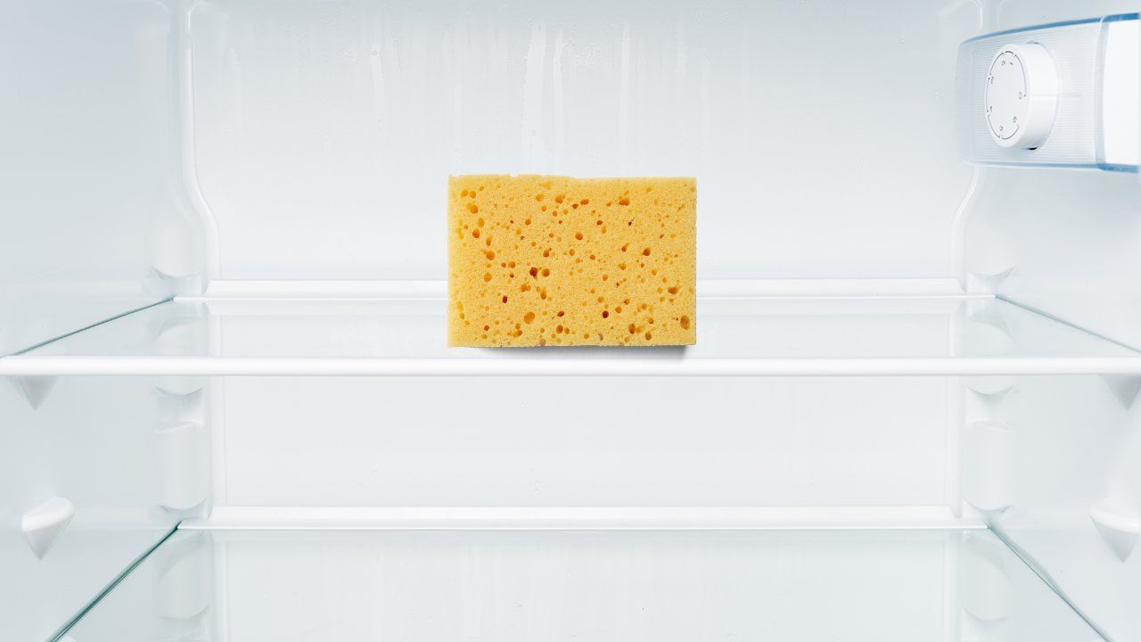 10 Tappetini In Spugna Per Cassetto Frigo, Assorbiumidità E Prolunga Freschezza Per Frutta E Verdura, Tagliabili E Riutilizzabili