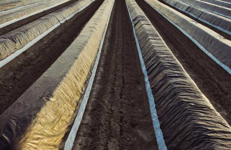 Come riciclare la plastica in agricoltura