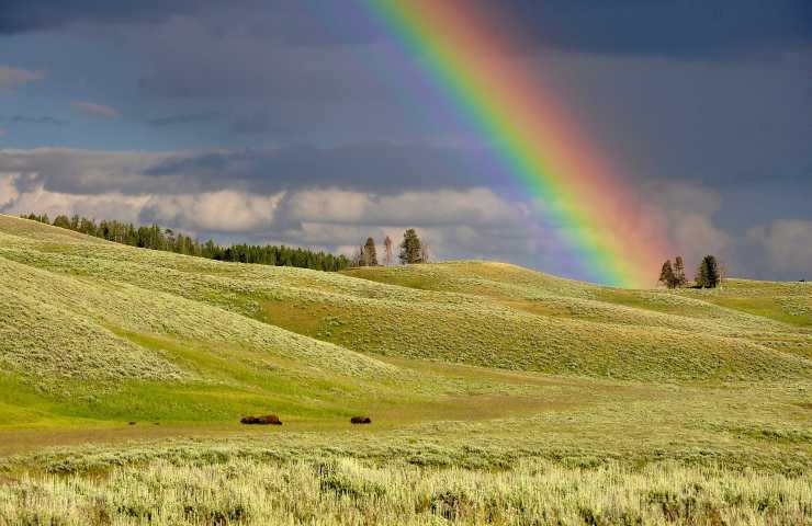 Perché arcobaleno non ci sono i colori bianco, nero e grigio