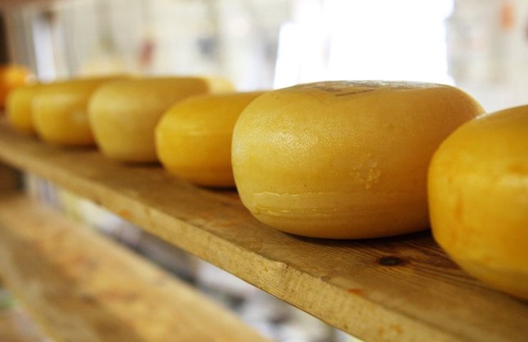 Formaggio si può mangiare tutti i giorni