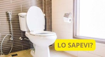 WC, nessuno pulisce mai qui: non immagini quanto sporco si accumula