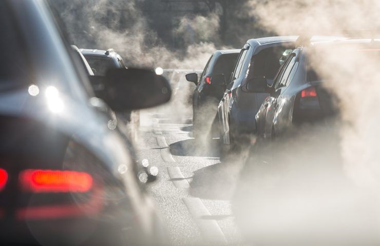 studio danni procurati al cervello dallo smog