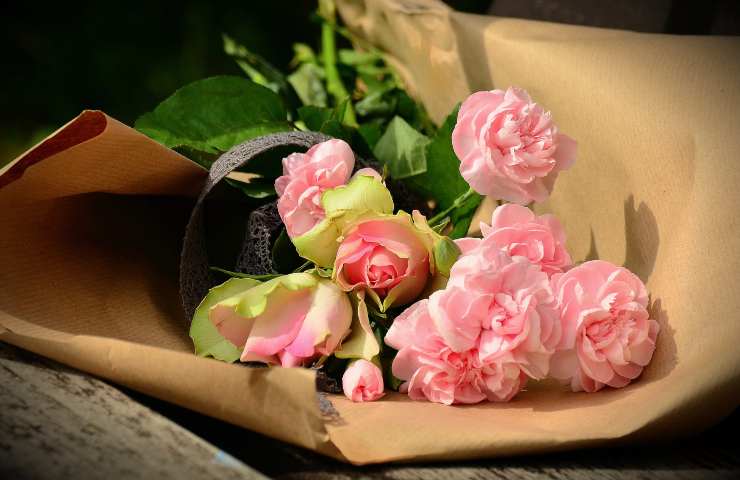 Quali fiori regalare a San Valentino