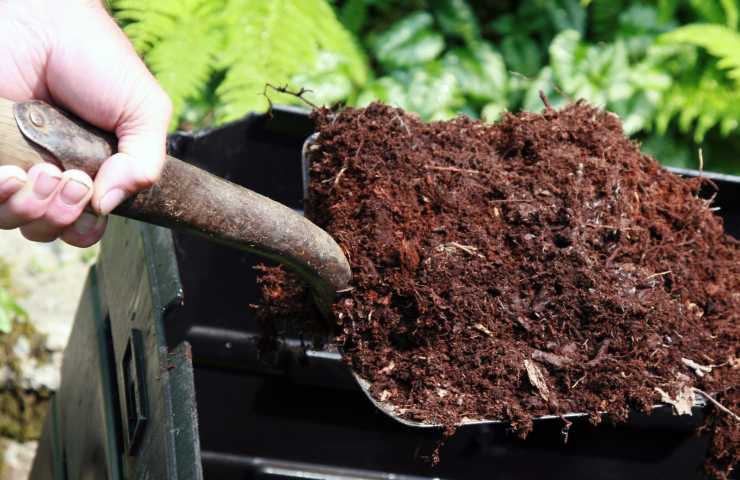 compost campania