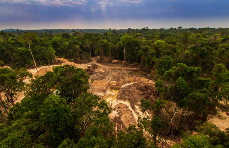 Deforestazione Foresta Amazzonica