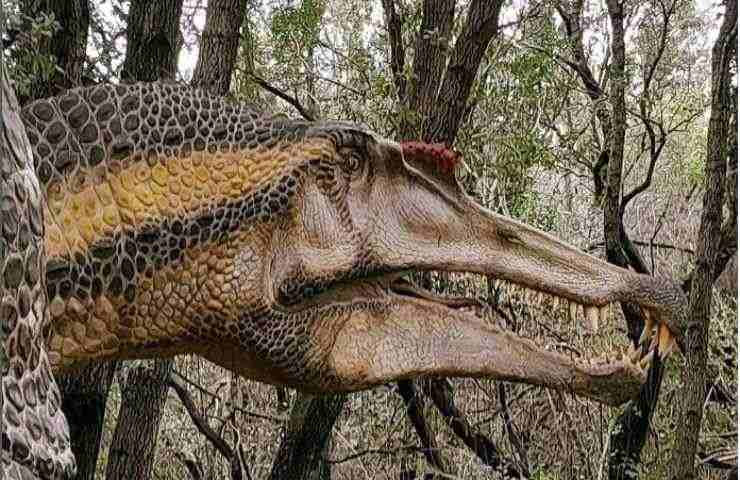 Dinosauro collo 15 metri