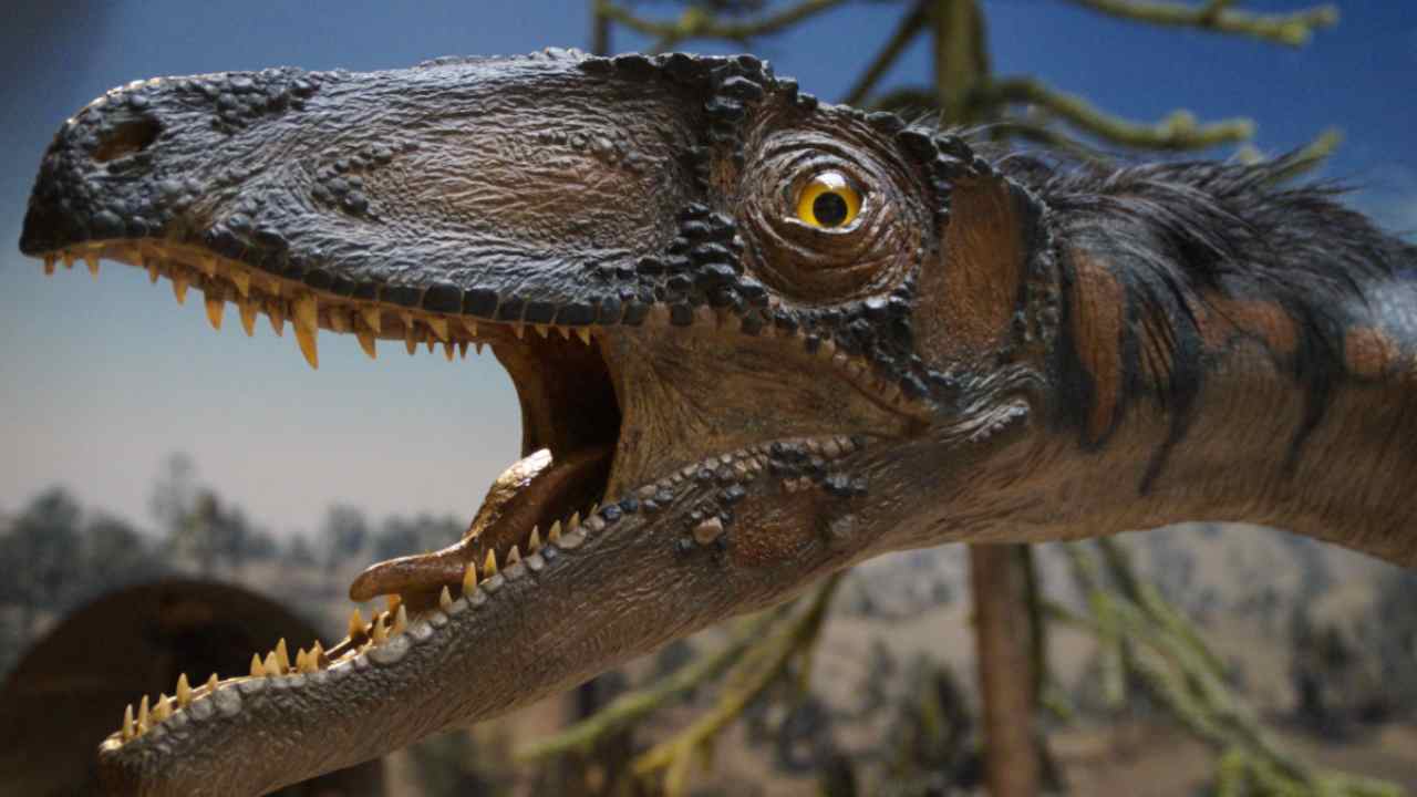 Dinosauro carnivoro: le teorie sulle loro dimensioni
