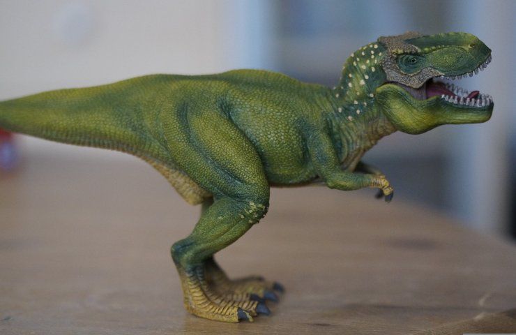 Dinosauro collo lungo