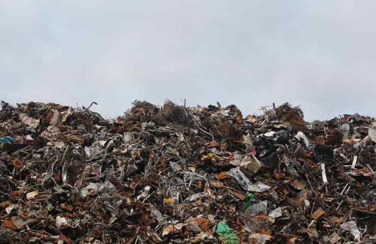 Cucciolo per anni vive in una discarica