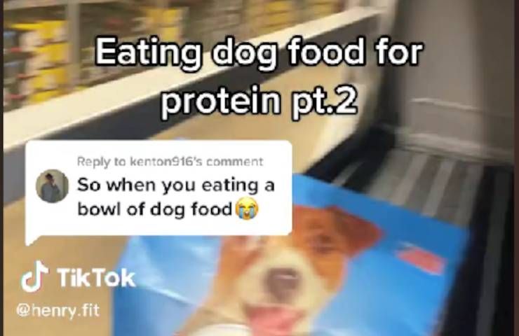 Video TikTok influencer mangia cibo cani contenuto proteico