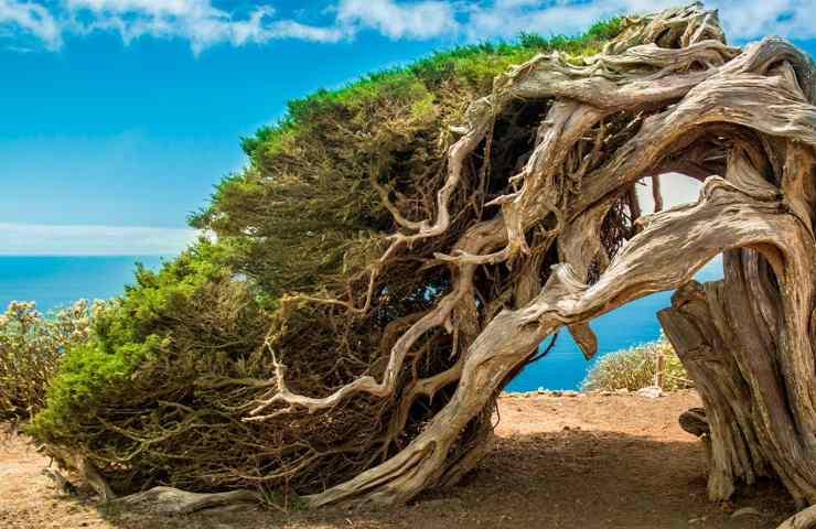 El Hierro, Canarie: i dettagli