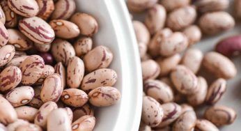 Fagioli borlotti: una mini GUIDA su come seminarli e farli crescere