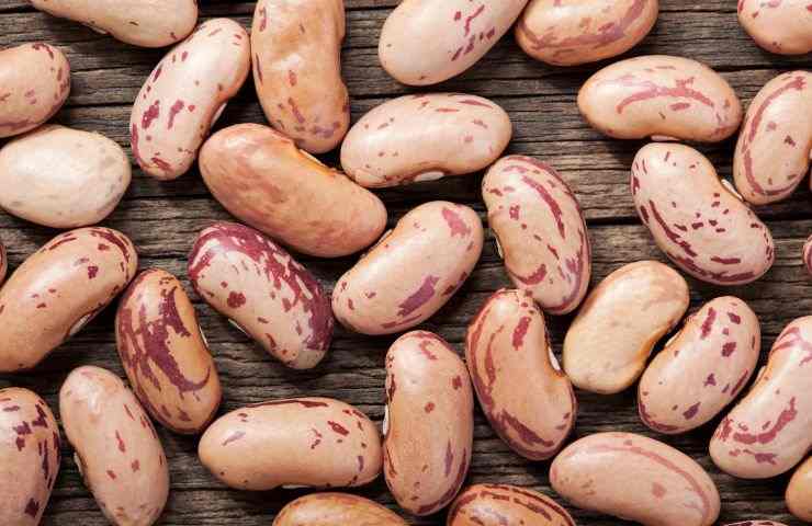 fagioli borlotti coltivarli come guida