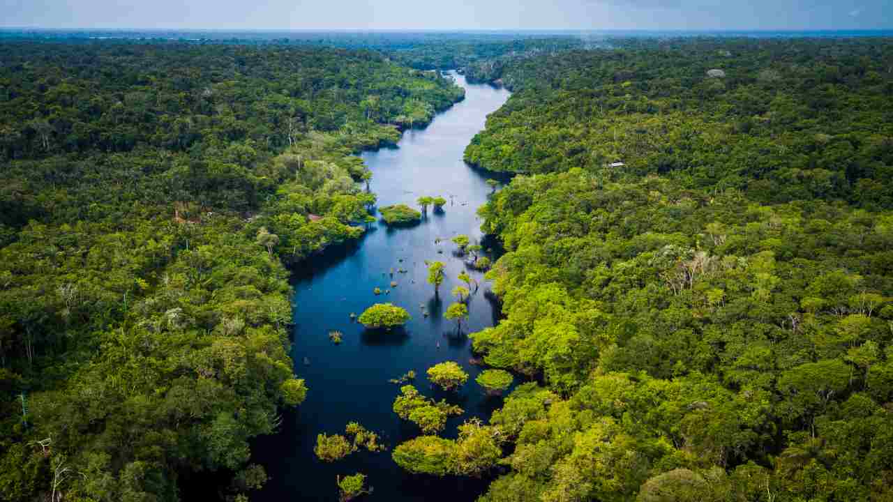Foresta Amazzonica persi 5 mln ettari