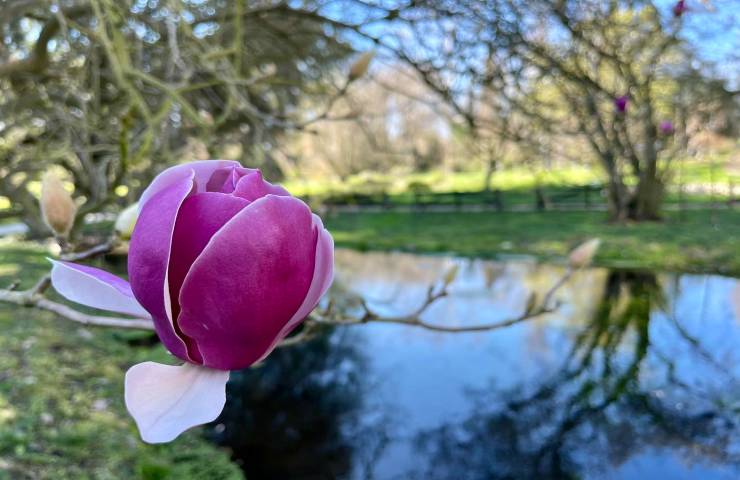 Giardino di Ninfa calendario date 2023