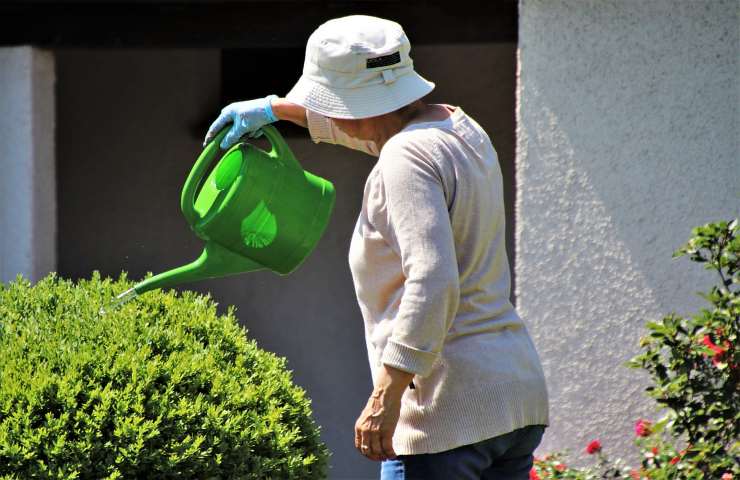 come innaffiare il giardino