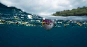 Inquinamento marino: un progetto per poterlo contrastare