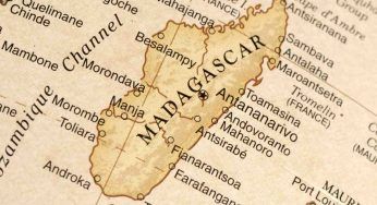 Madagascar, trovati gusci di uova: hanno dimensioni impressionanti