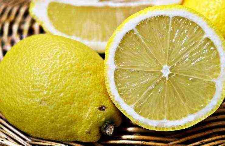 Limoni pulizia plastica ingiallita