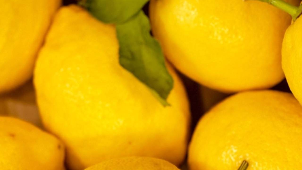 pulizie casa limoni scopa