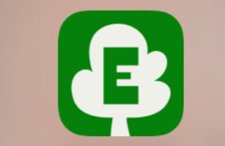 Logo Ecosia 
