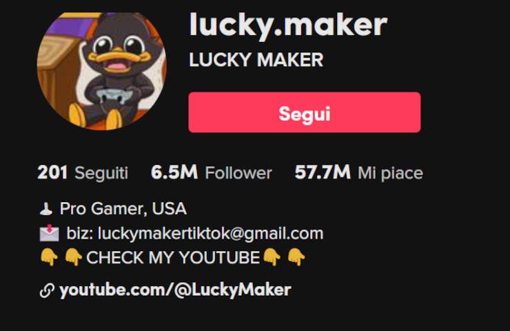 Fare soldi influencer videogame TikTok