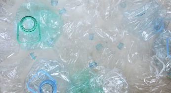Microplastiche: quante se ne trovano nel corpo umano?