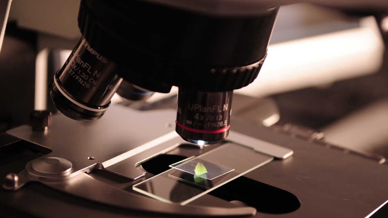 Glowscope microscopio obiettivo clip smartphone scuole