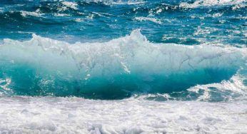 Co2, gli oceani sono in crisi: quando il punto di non ritorno
