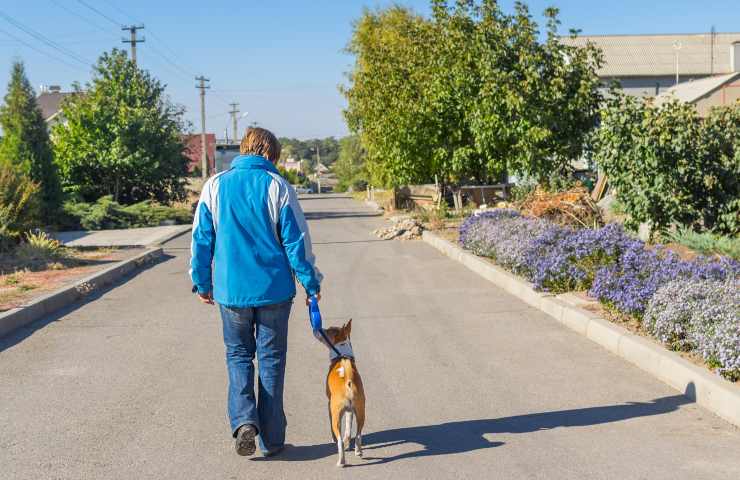 sopravvivenza cani uomo