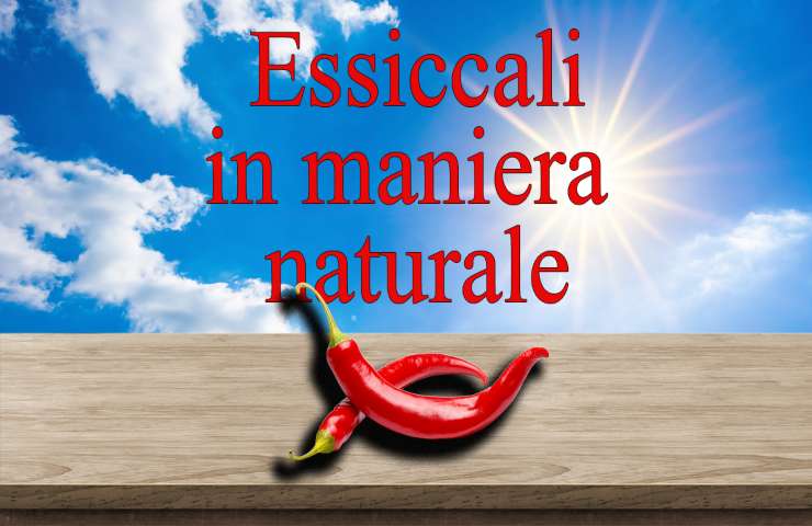 come essiccare peperoncini