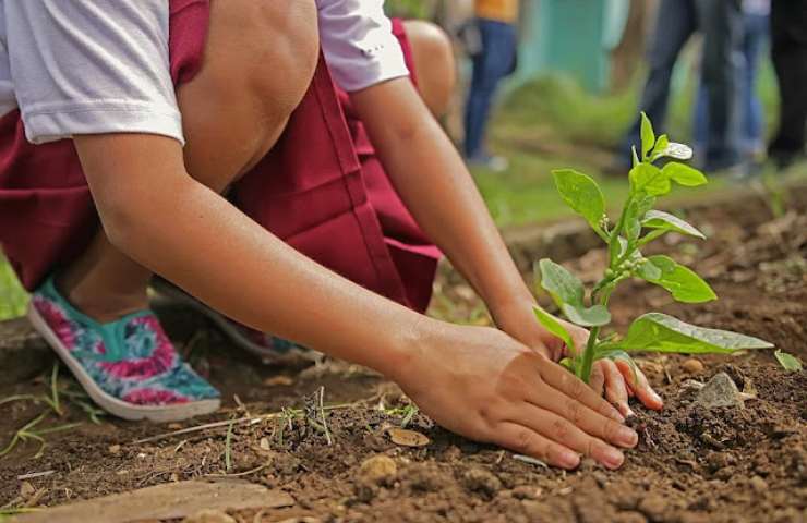 Giardino ecosostenibile trucchi cambiamento climatico