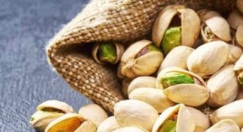 Pistacchio, come utilizzare i gusci in casa e in giardino: rimarrai sorpreso