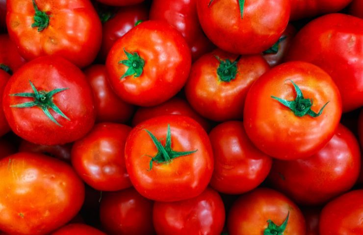 Pomodori