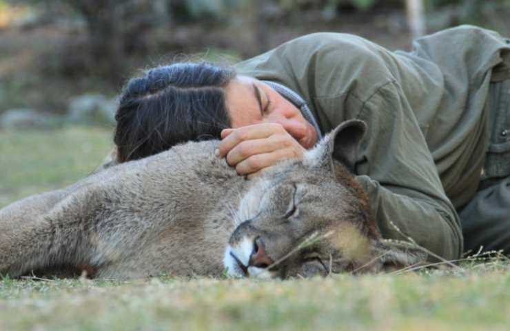 Puma e Presidente Pumakawa