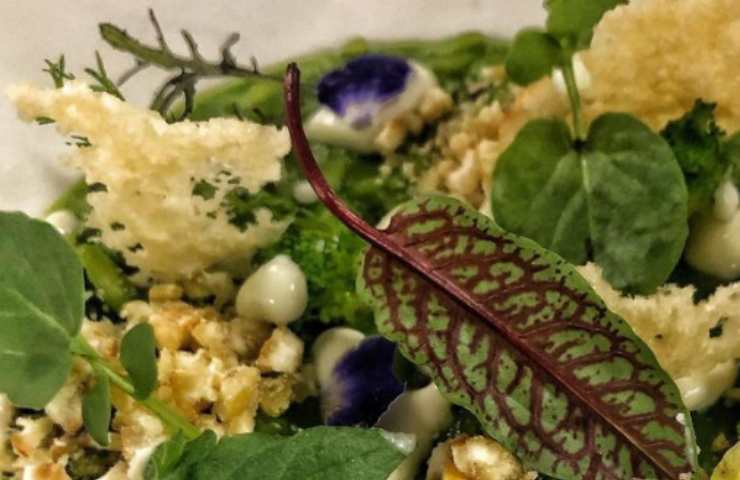 Acetosella non solo estetica cucina
