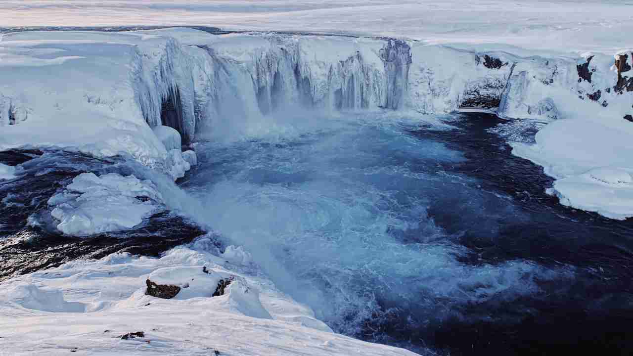 Ritrovamento resti mostro marino Artico